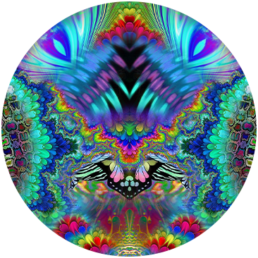HYPED UP HIPPIE
