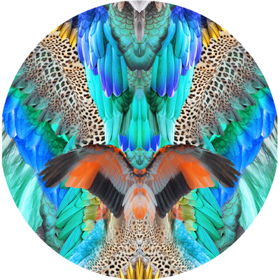 JUNGLE FLIGHT