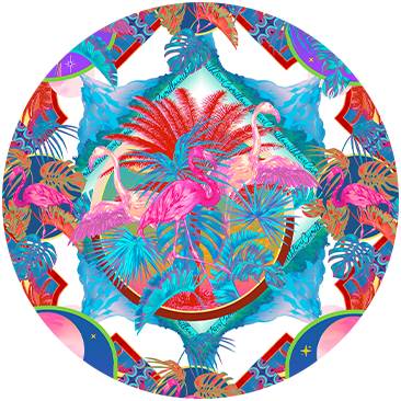 FLAMENCO FLAMINGO