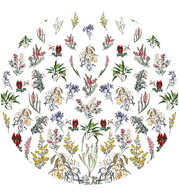 FLORISTS FLOOR