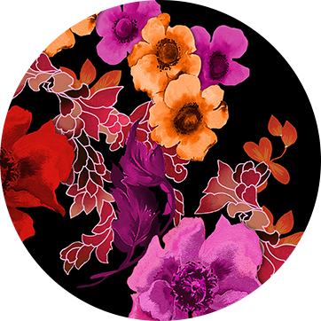 AMAPOLA DE MEDIANOCHE