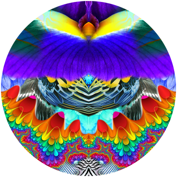 RAINBOW GATHERING