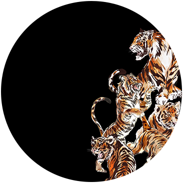 CONVERSACIÓN DE TIGRES