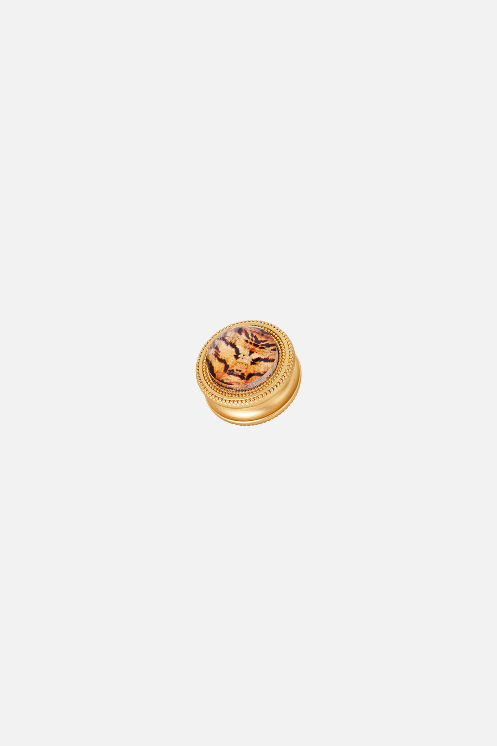 GOLD CLOTHING MAGNETS CASE OF CURIOSITIES